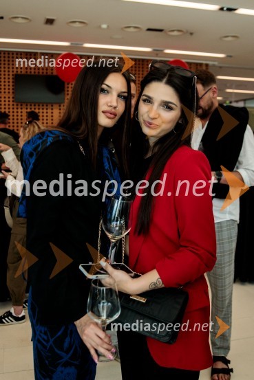 Jubilejni 10. Festvina