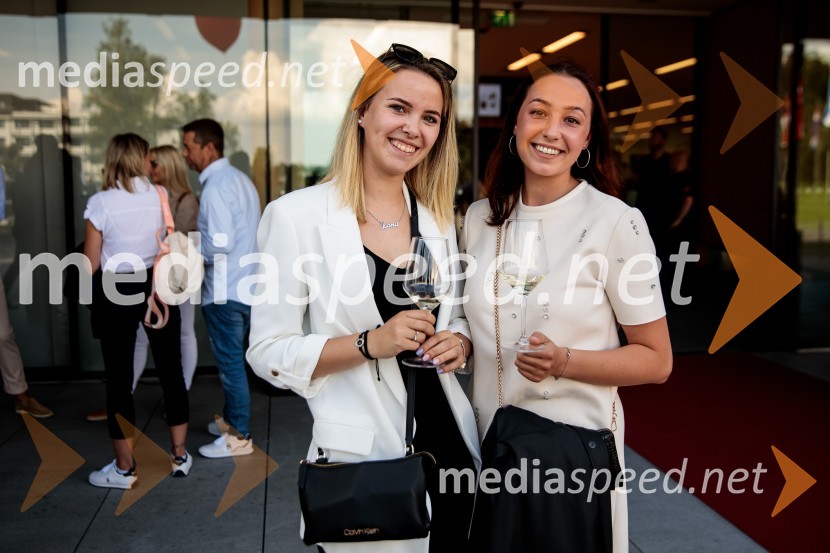 Jubilejni 10. Festvina