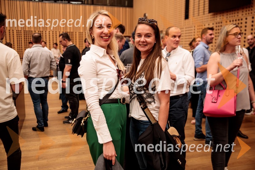 Jubilejni 10. Festvina