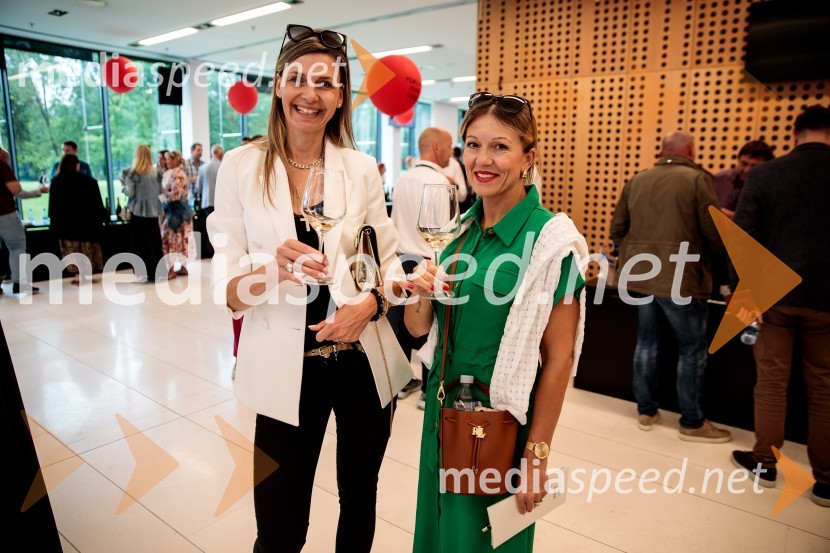 Jubilejni 10. Festvina