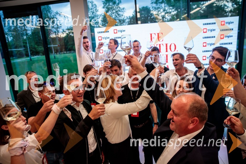 Jubilejni 10. Festvina