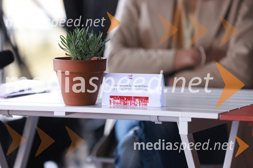 Prešerno poletje 2024, novinarska konferenca