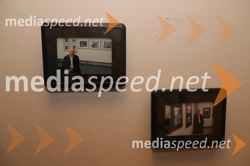Odprtje fotografske razstave avtorja Dragiše Modrinjaka