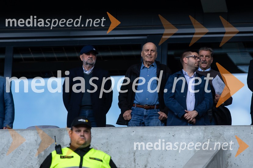 Pripravljalna tekma za Euro 2024: Slovenija – Armenija