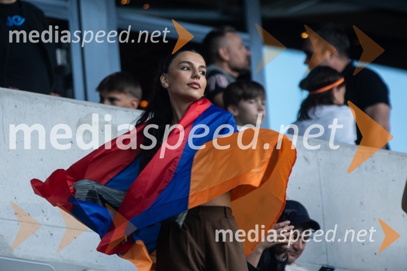 Pripravljalna tekma za Euro 2024: Slovenija – Armenija