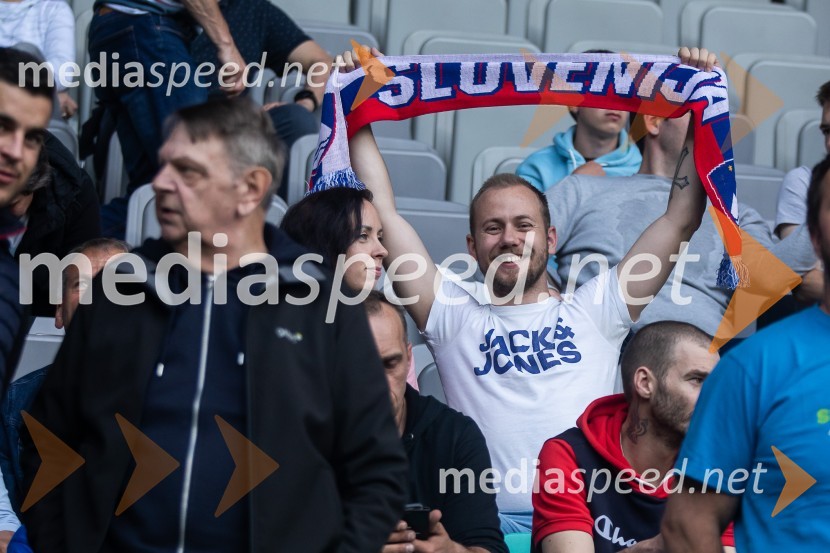 Pripravljalna tekma za Euro 2024: Slovenija – Armenija