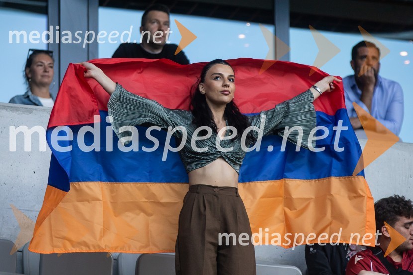 Pripravljalna tekma za Euro 2024: Slovenija – Armenija