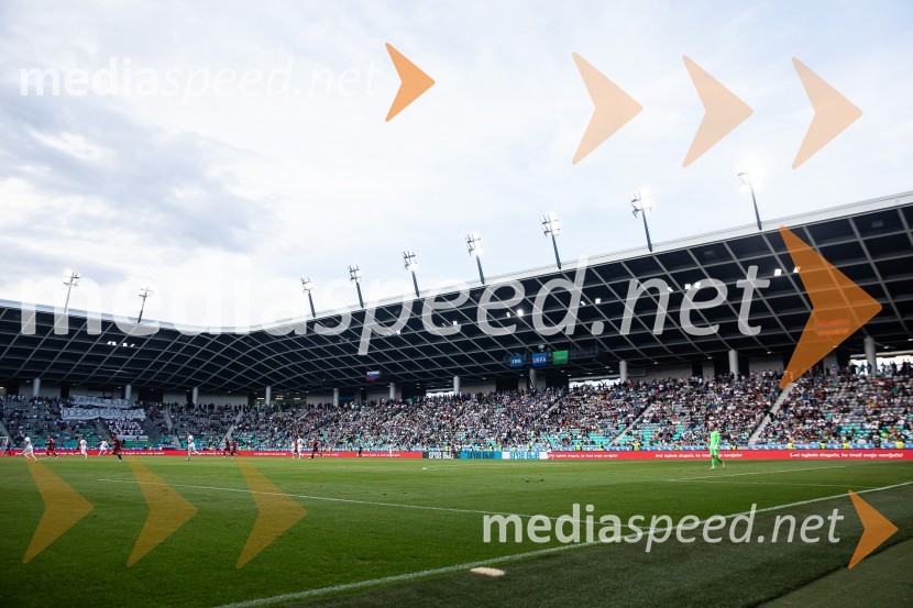 Pripravljalna tekma za Euro 2024: Slovenija – Armenija