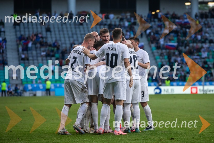 Pripravljalna tekma za Euro 2024: Slovenija – Armenija