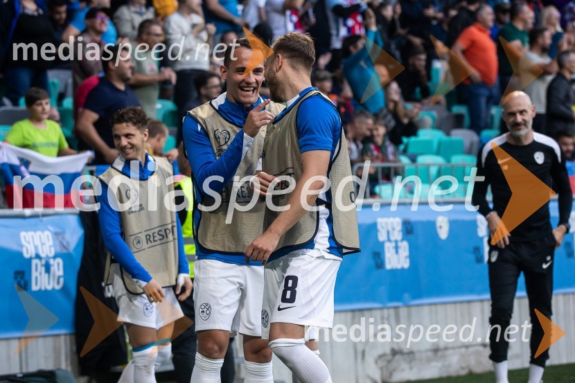 Pripravljalna tekma za Euro 2024: Slovenija – Armenija