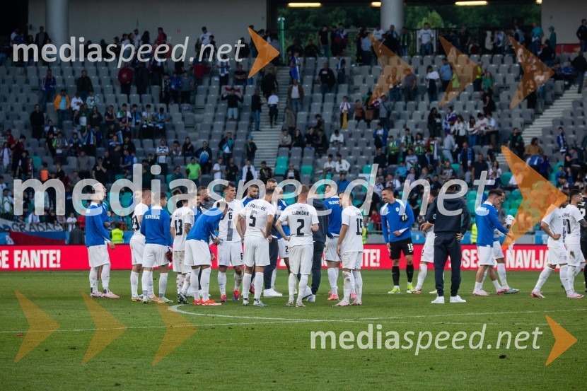 Pripravljalna tekma za Euro 2024: Slovenija – Armenija