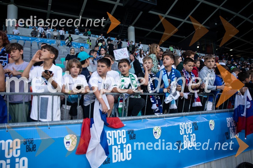 Pripravljalna tekma za Euro 2024: Slovenija – Armenija