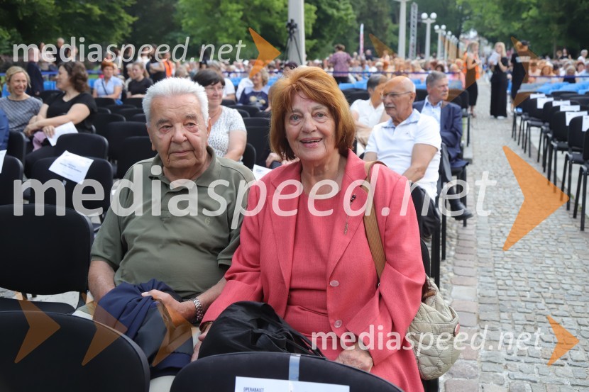  Aleksander  Arsenovič;  Alemka ArsenovičOperna noč na promenadi Mestnega parka