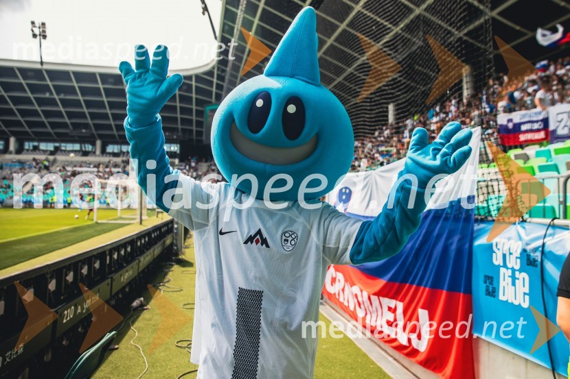 Pripravljalna tekma za Euro 2024: Slovenija – Bolgarija