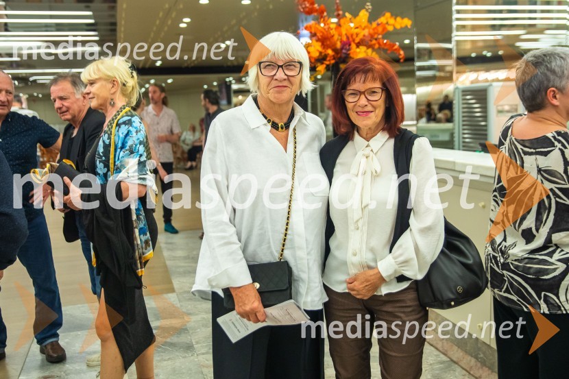 Vezi duš, plesna predstava v Cankarjevem domu