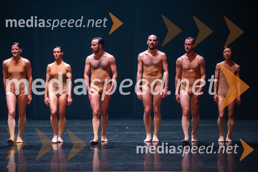 Vezi duš, plesna predstava v Cankarjevem domu