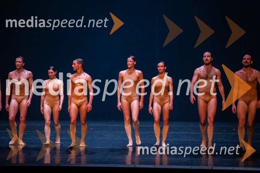 Vezi duš, plesna predstava v Cankarjevem domu