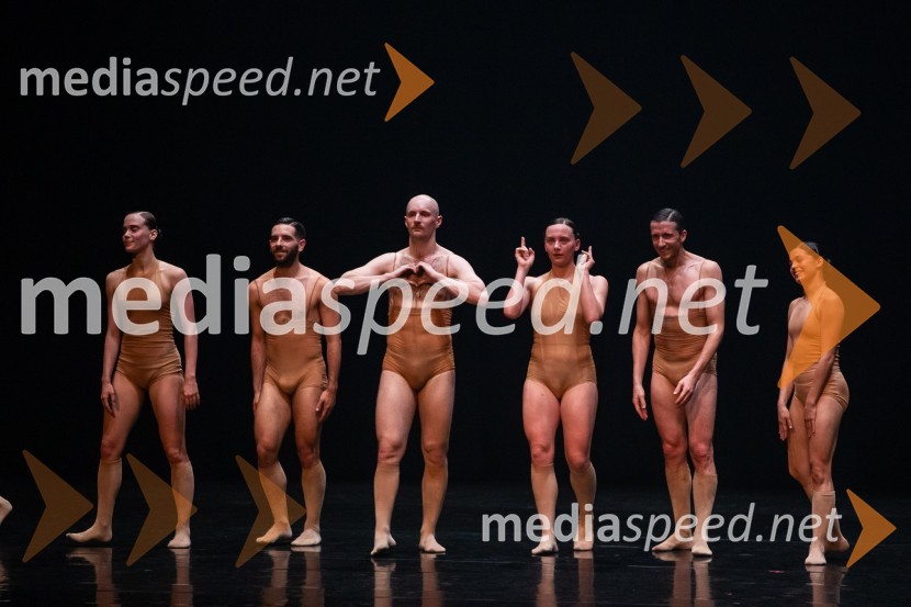 Vezi duš, plesna predstava v Cankarjevem domu