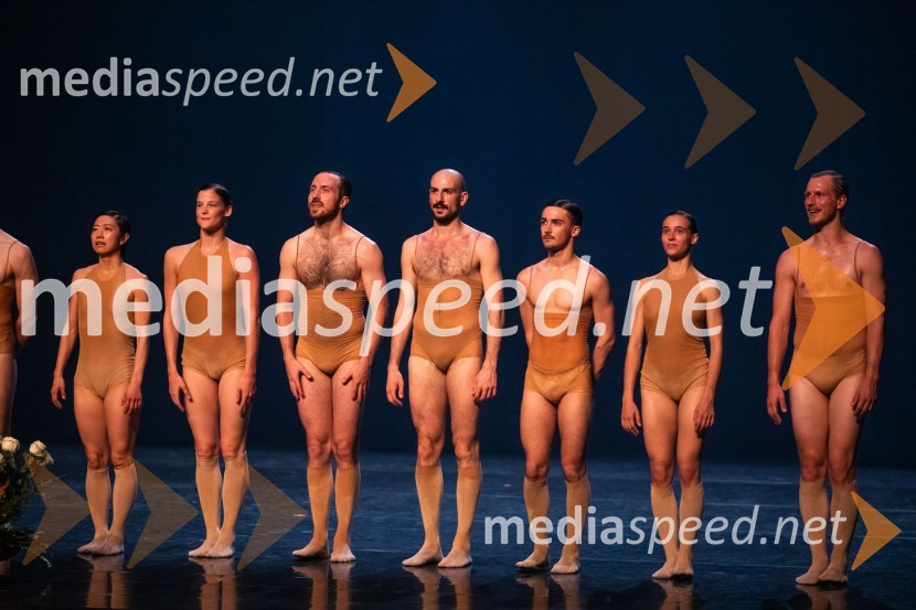 Vezi duš, plesna predstava v Cankarjevem domu