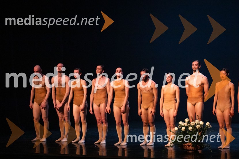 Vezi duš, plesna predstava v Cankarjevem domu