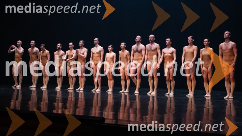 Vezi duš, plesna predstava v Cankarjevem domu