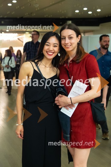 Vezi duš, plesna predstava v Cankarjevem domu