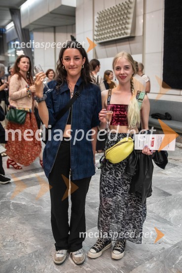 Vezi duš, plesna predstava v Cankarjevem domu