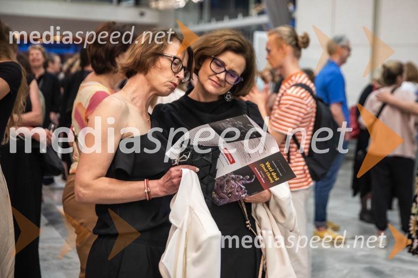 Vezi duš, plesna predstava v Cankarjevem domu