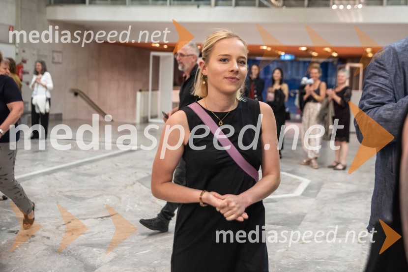 Vezi duš, plesna predstava v Cankarjevem domu