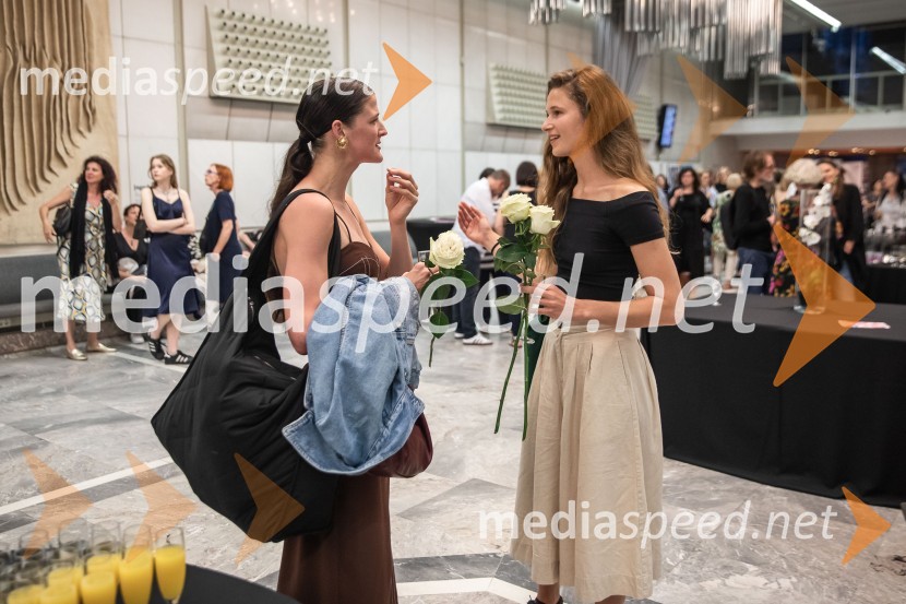 Vezi duš, plesna predstava v Cankarjevem domu