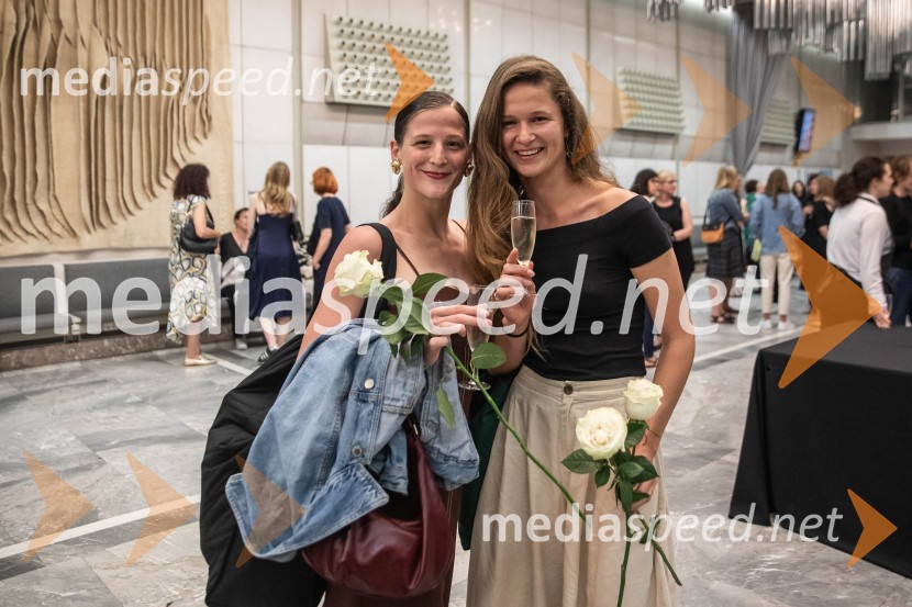 Vezi duš, plesna predstava v Cankarjevem domu