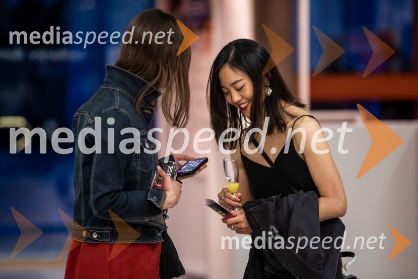 Vezi duš, plesna predstava v Cankarjevem domu