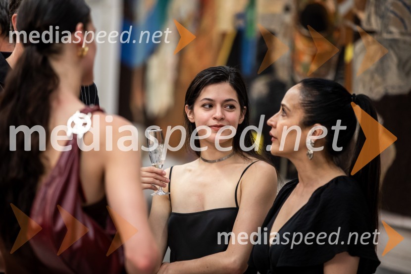 Vezi duš, plesna predstava v Cankarjevem domu