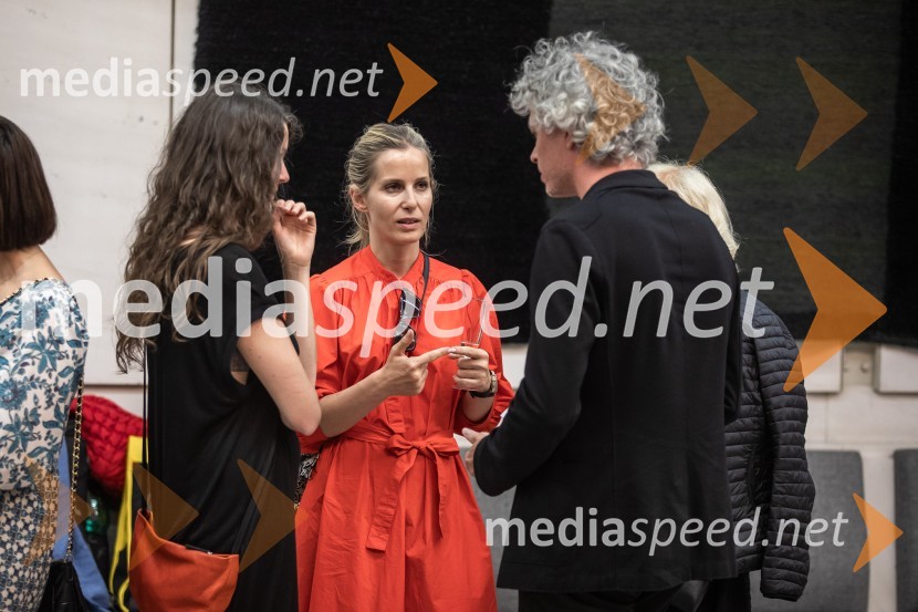 Vezi duš, plesna predstava v Cankarjevem domu