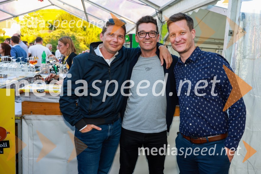  Dejan Levanič, državni sekretar, Ministrstvo za delo, družino, socialne zadeve in enake možnosti Republike Slovenije;  ... ;  ... Ekskluzivni koncert Joker out ob 50-letnici Poli