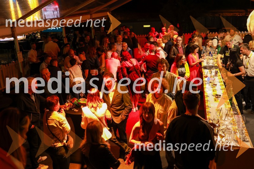 Ekskluzivni koncert Joker out ob 50-letnici Poli