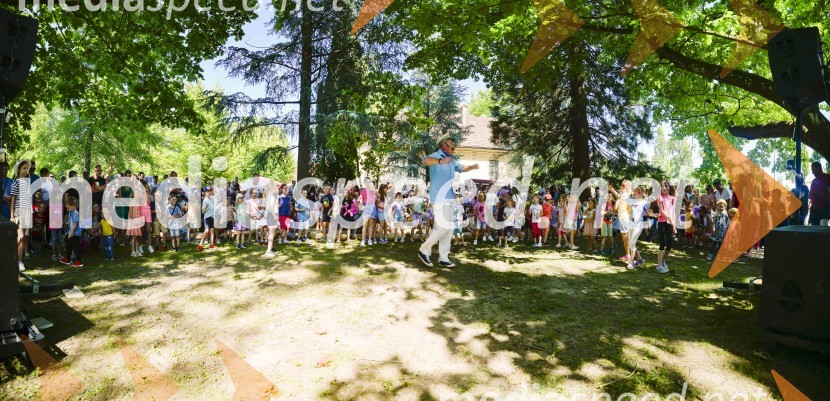 Družinski festival Mačje mesto 2024