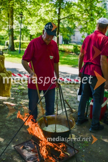 Družinski festival Mačje mesto 2024