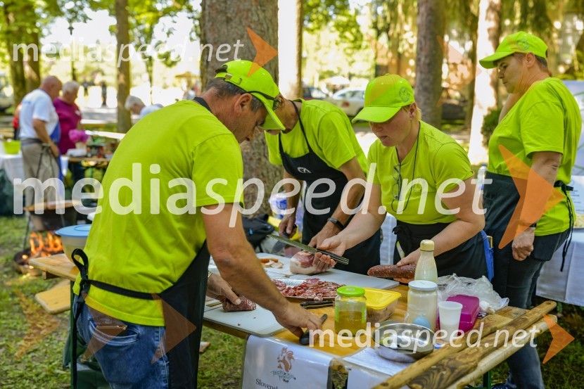 Družinski festival Mačje mesto 2024