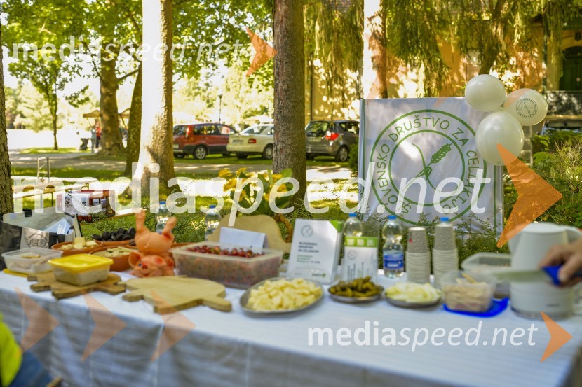 Družinski festival Mačje mesto 2024