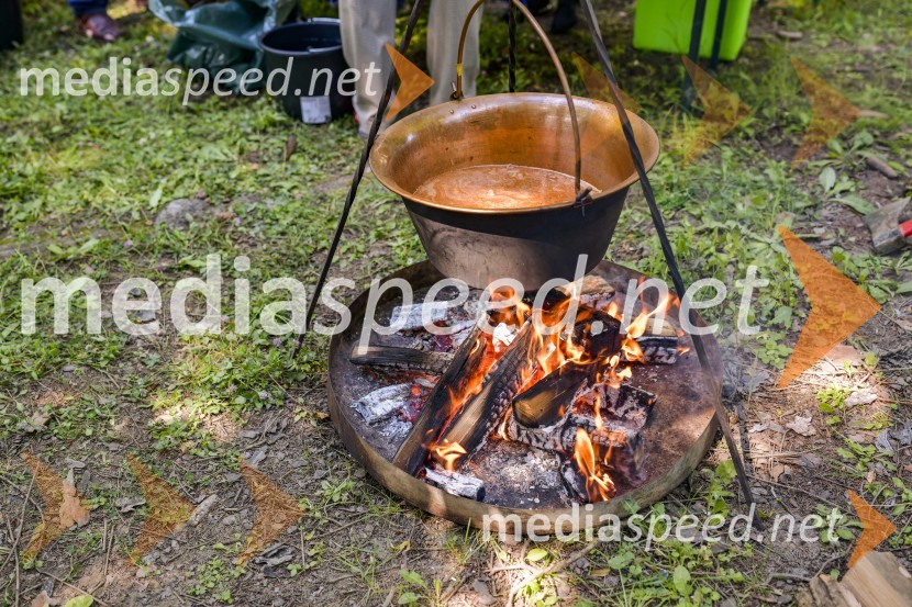 Družinski festival Mačje mesto 2024