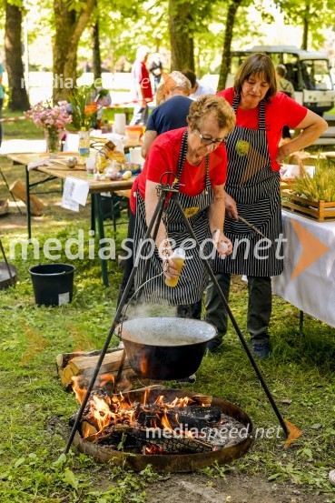 Družinski festival Mačje mesto 2024