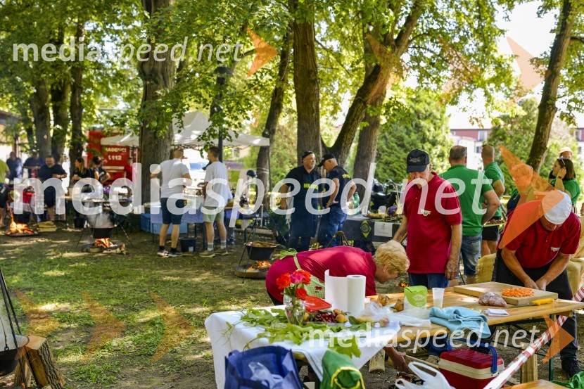 Družinski festival Mačje mesto 2024