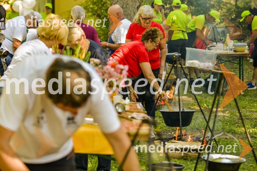 prof. dr. Janez Bešter, Fakulteta za elektrotehniko;  ... Družinski festival Mačje mesto 2024