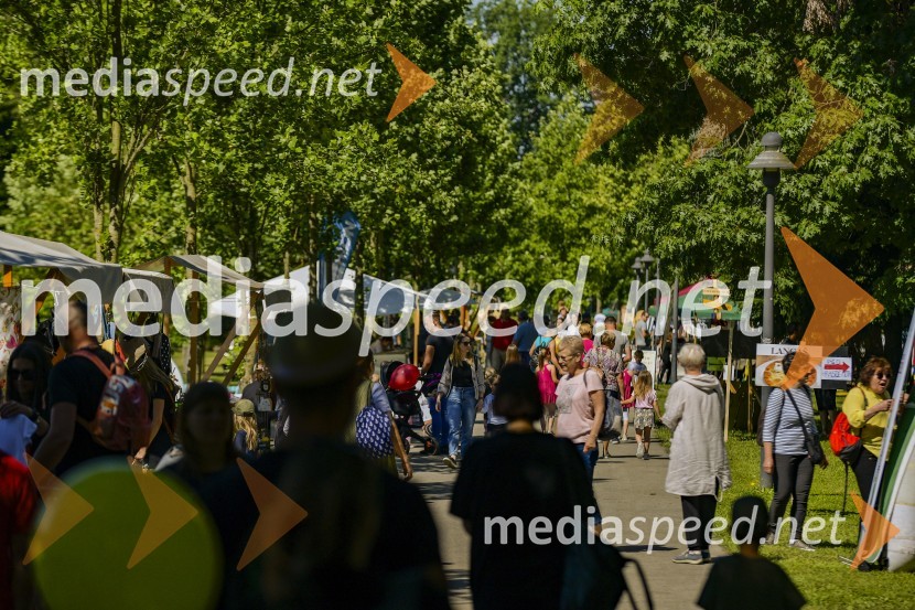 Družinski festival Mačje mesto 2024