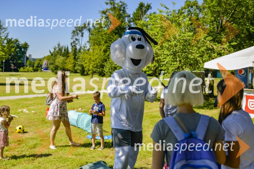 Družinski festival Mačje mesto 2024