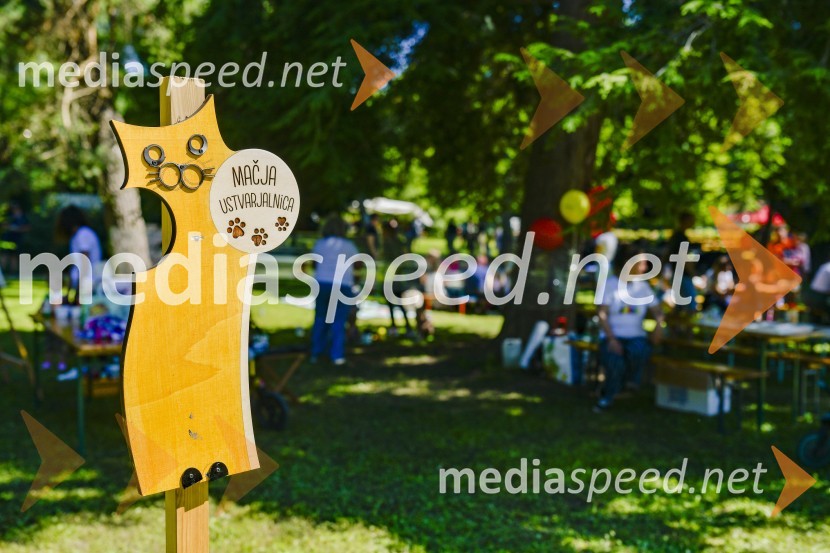 Družinski festival Mačje mesto 2024