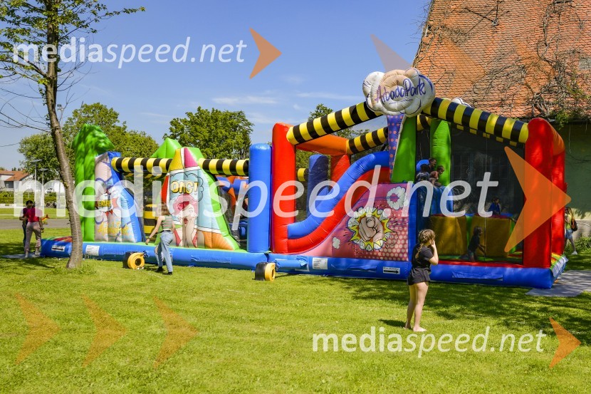 Družinski festival Mačje mesto 2024