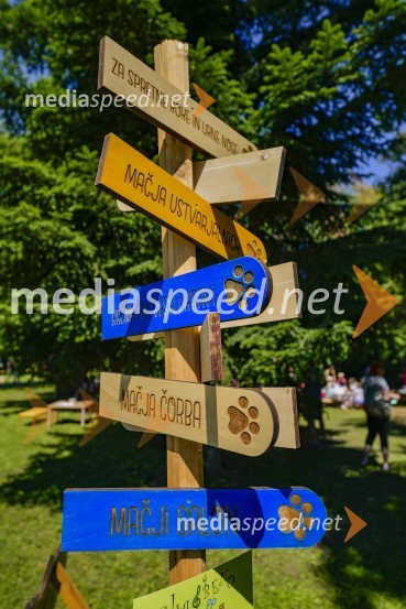 Družinski festival Mačje mesto 2024