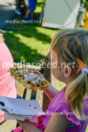 Družinski festival Mačje mesto 2024